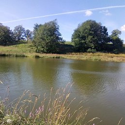 ���� ���������, ������, 36 ��� - ��������� 5 ������ 2018