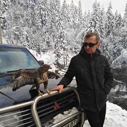 Nik, �����, 51 ���
