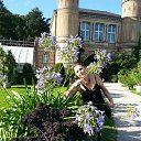 ���� ����, ��������, 67 ��� - ��������� 20 ������ 2017 � ������ ����� � ���� 2017 ����