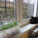 ���� �������, ��������, 47 ��� - ��������� 12 ����� 2018 � ������ �����������