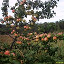 ���� ������, �����-���������, 67 ��� - ��������� 6 ����� 2018 � ������ ���� ����������