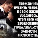  , , 63  -  22  2018   , ,  л