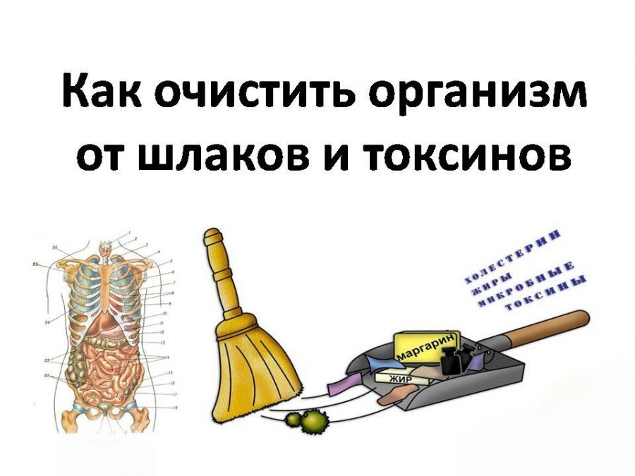 �� ������