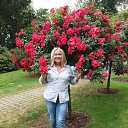 ���� �������, ���� - ��������� 18 ���� 2018 � ������ ���� ����������