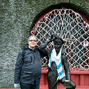 ���� ����������, �����, 43 ���� - ��������� 2 ������ 2018