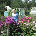 �� ���� � ������� . ���� 2017 ����. �� ������� ���� ����������