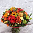 ���� �������, ������, 49 ��� - ��������� 19 ��� 2018 � ������ �����������