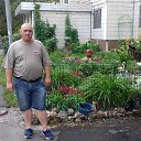 ���� �����, ������, 52 ���� - ��������� 23 ������ 2017 � ������ ���� ����������