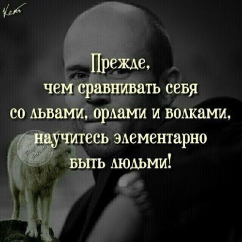 Testardo - 19  2018  20:48