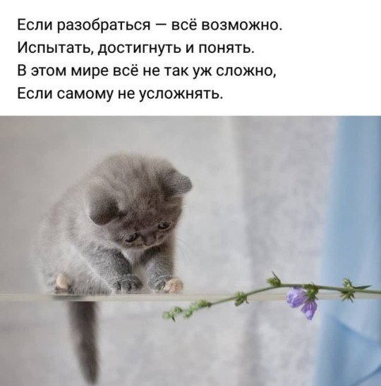 ***Victoria Viktorovna*** - 29  2018  15:02