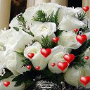  Lady!,  -  16  2017   cveti