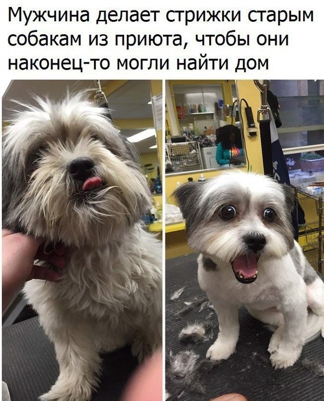   -   - 19  2018  03:47