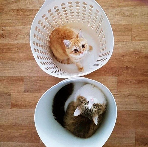 )