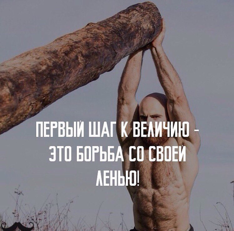  -   - 8  2017  03:54