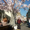  -   !,  -  14  2018    .   2018