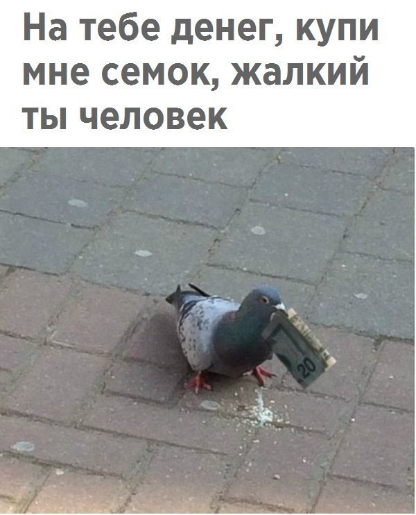 - 15  2018  03:42