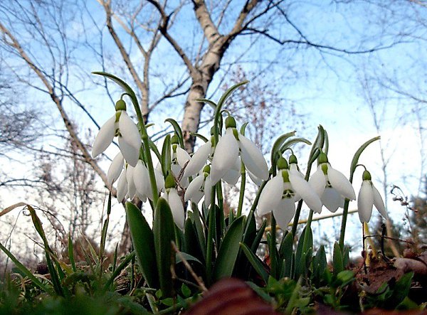  ,  ,     ,   ,  ,   , ...