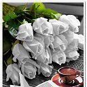  Gojko, -, 72  -  5  2018    