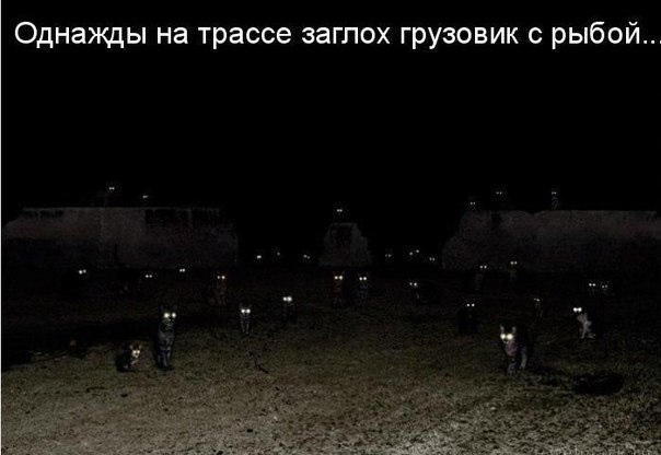   - 15  2018  16:56