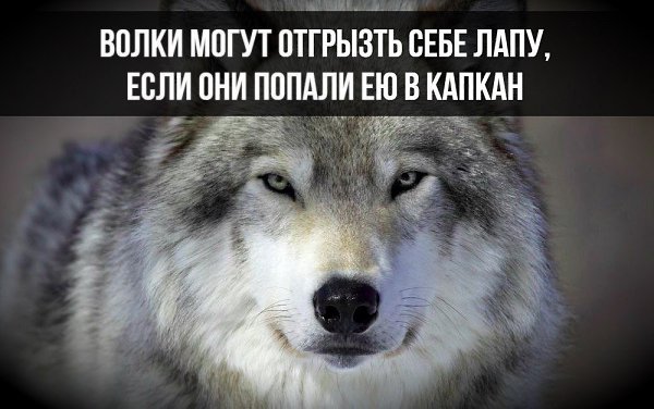   :    - 1  2017  03:38