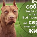 ���� �����, ������ - ��������� 16 ������ 2018 � ������ ������ ��������