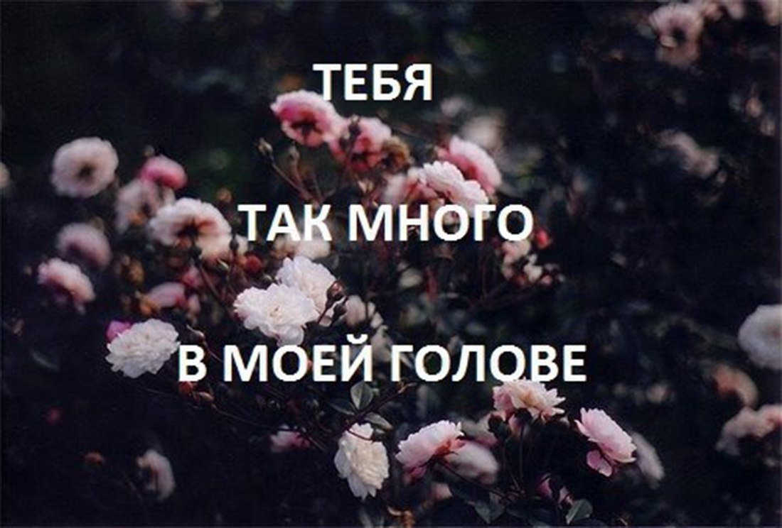 И вы в моей голове. Ты в моей голове. Ты в моей голове постоянно. Ты живёшь в моей голове. Ты постоянно в моей голове в моих.