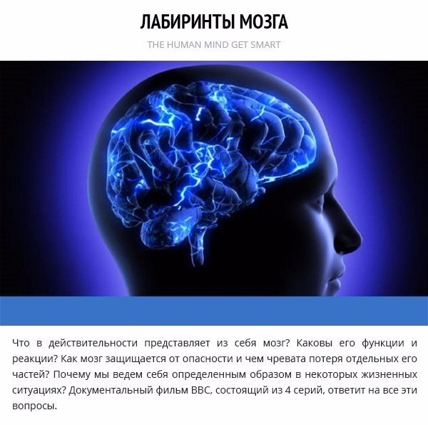 10 научно-популярных фильмов, которые помогут лучше понять устройство нашей планеты. - 6