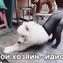 ���� �������, ������, 44 ���� - ��������� 21 ������� 2017 � ������ ��������