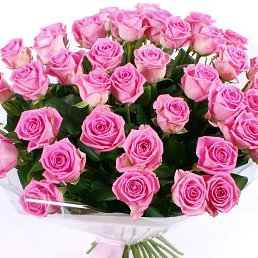 �����, �������, 46 ���