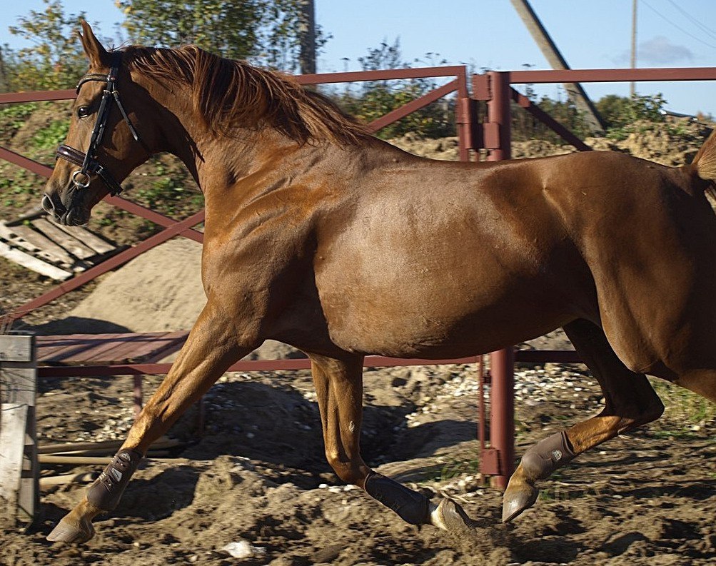    !  !   .  200  ... - 4