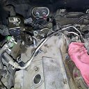 ���� �������, ������, 63 ���� - ��������� 24 ����� 2018 � ������ ������ ��������