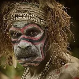 �����������, ���������, 66 ���