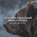 ���� �����, ������, 41 ��� - ��������� 7 ����� 2018 � ������ ������ ��������
