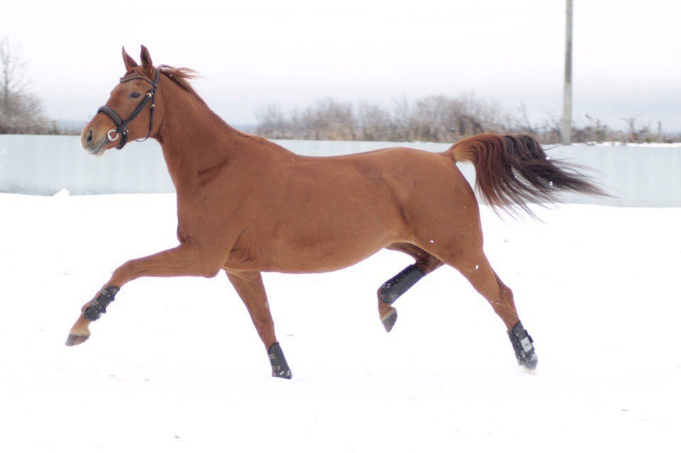    !  !   .  200  ... - 5