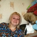 ���� �����, ������������, 41 ��� - ��������� 2 ���� 2018 � ������ ���� ����������