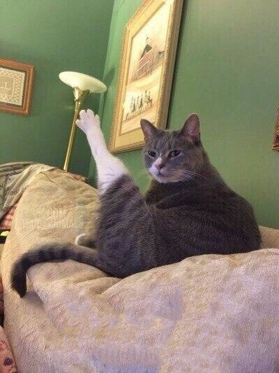         ?.