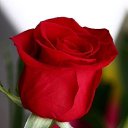 ���� ����, ������, 45 ��� - ��������� 9 ���� 2018 � ������ �COOL!!!�