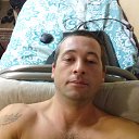 ���� ��������, ������, 43 ���� - ��������� 31 ������� 2017 � ������ ���� ����������