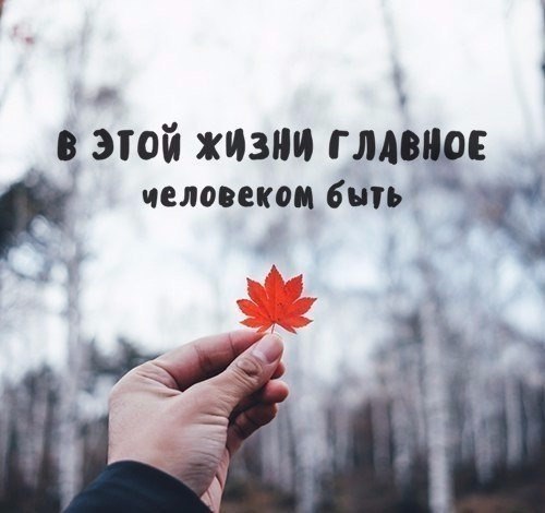  ... - 10  2017  20:39