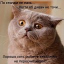 ���� �������_�����, �������, 48 ��� - ��������� 18 ��� 2018 � ������ ������ ��������