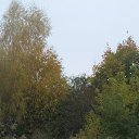  Maxim, , 41  -  25  2018   2017 