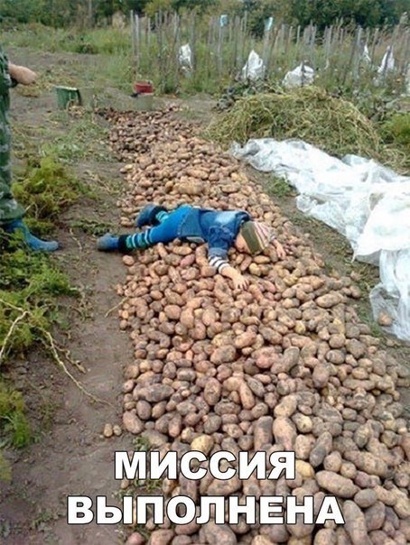 https://fotostrana.ru/away?to=/sl/2wC2 -   - 24  2018  03:50