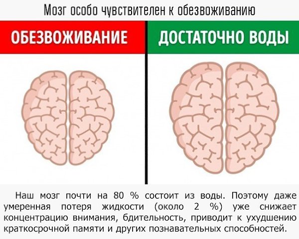 9 примеров того, как мы влияем на свой мозг - 3