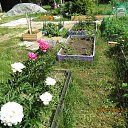 ���� ������, �����-���������, 74 ���� - ��������� 12 ���� 2018 � ������ ������ ��������