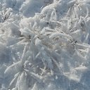 ���� ���������, �������, 52 ���� - ��������� 2 ������ 2018 � ������ �� ����� 2018 �����!!!�