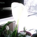 ���� �����, �����, 63 ���� - ��������� 21 ������� 2018 � ������ ���� ����������