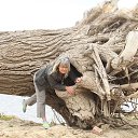  Yulia, , 60  -  6  2017    