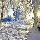 ���� �����, ������������ - ��������� 20 ������� 2017 � ������ ���� ����������