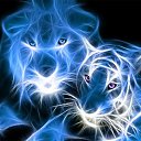 ���� Ҹ��, �������� - ��������� 22 ���� 2018 � ������ ����