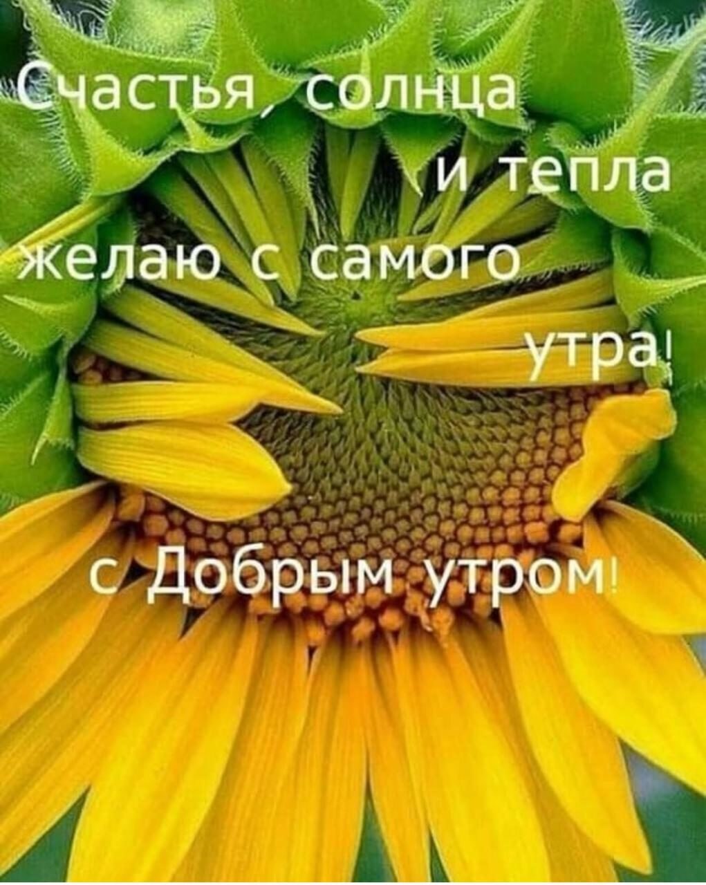   ,   !  , ,   ...!